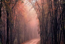 世界杯投注网站 -火箭超级工廠(chǎng)竣工投产 力箭二号运载火箭迈入批量化生(shēng)产阶段