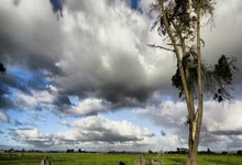 买球网 -2026“苏超”小微企业赞助商名单出炉